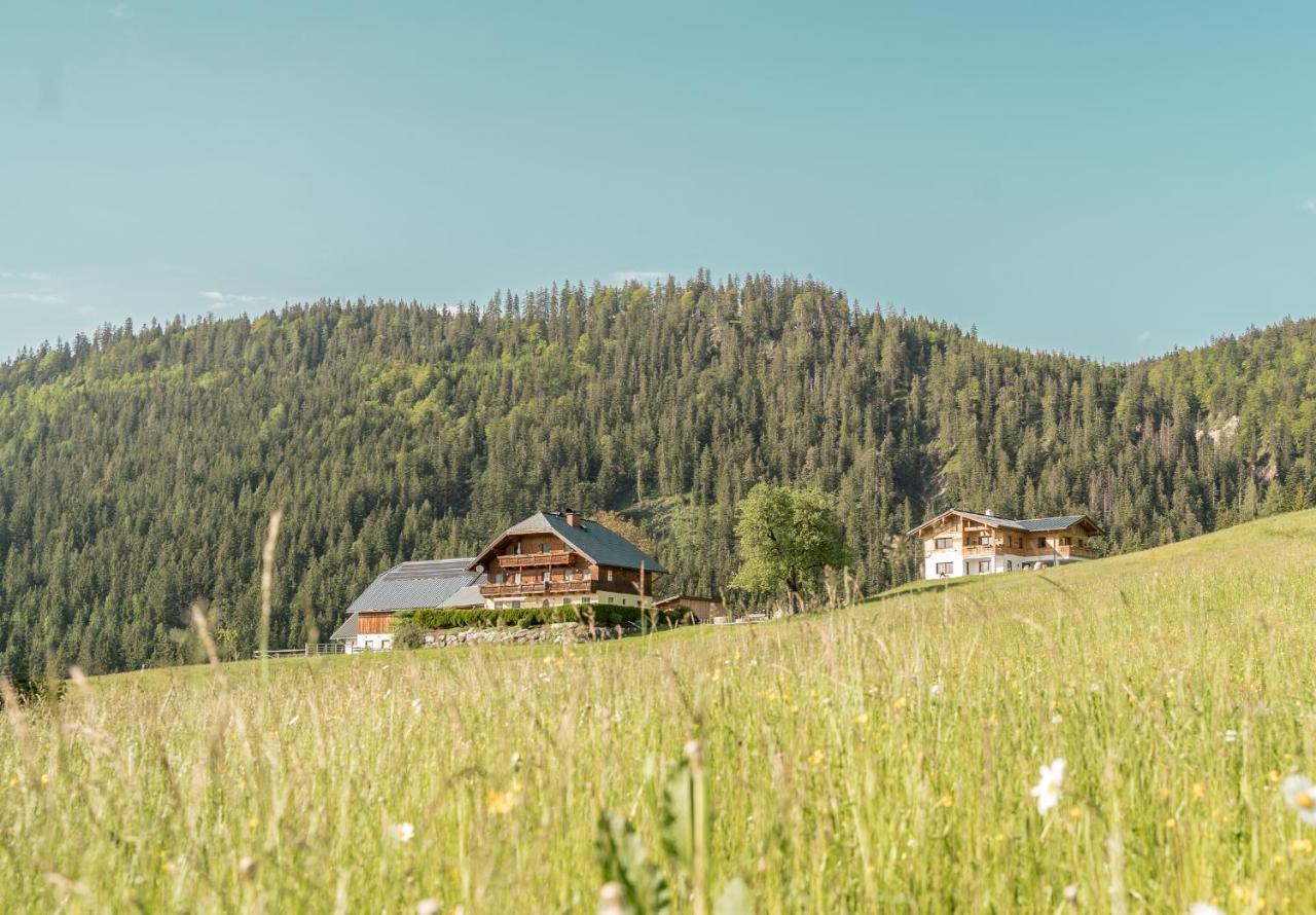 Bio Bauernhof Oberhinterberg Appartement Annaberg im Lammertal Exteriér fotografie