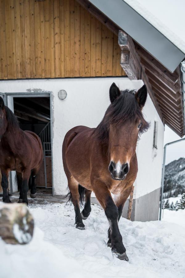 Bio Bauernhof Oberhinterberg Appartement Annaberg im Lammertal Exteriér fotografie